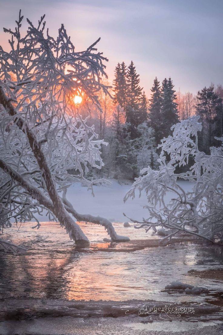 リアルな写真18冬の風景油絵